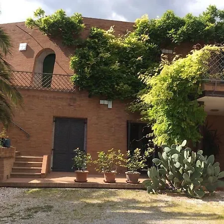 Il Podere Degli Ulivi