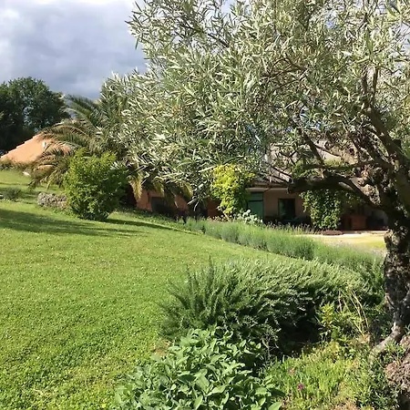 Lägenhet Il Podere Degli Ulivi Colmurano