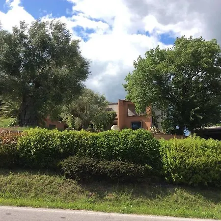 Lägenhet Il Podere Degli Ulivi
