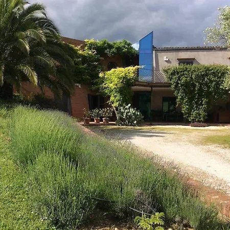 Il Podere Degli Ulivi