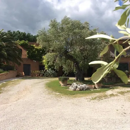 Appartamento Il Podere Degli Ulivi Colmurano